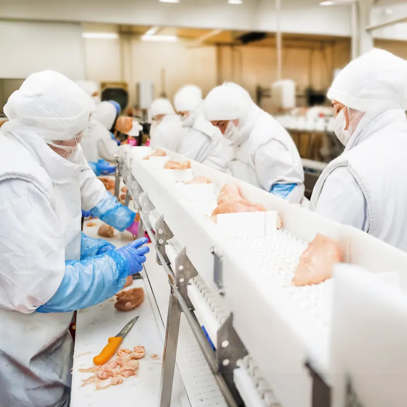 Linha de produção com equipa equipada com vestuário de proteção
